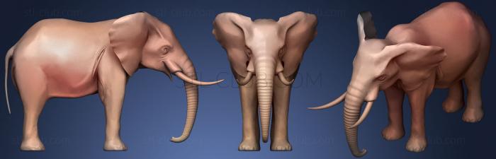 3D model Elephant 01 (STL)